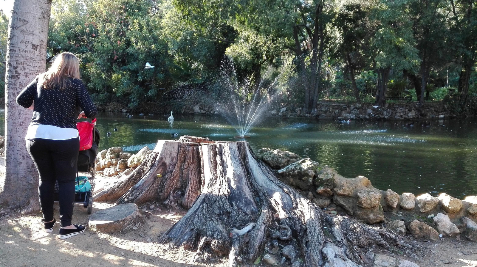 Una madre pasa con el carrito de su hijo junto a un árbol talado en la zona del estanque del Parque de María Luisa.