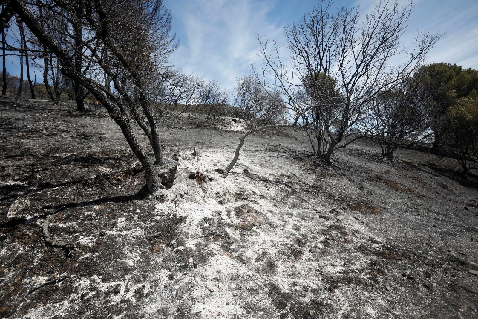 Zona cero del incendio de la Sierra de Córdoba