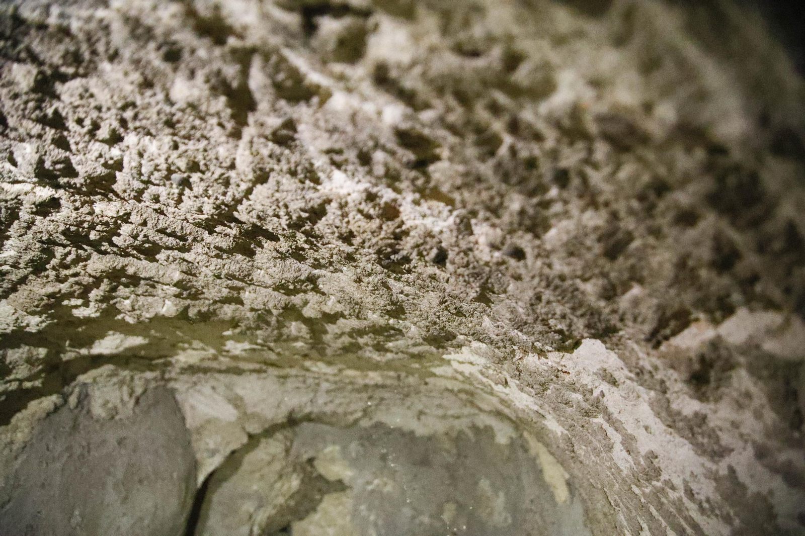 Imágenes de los refugios de la guerra civil descubierto en el barrio de Las Trincheras