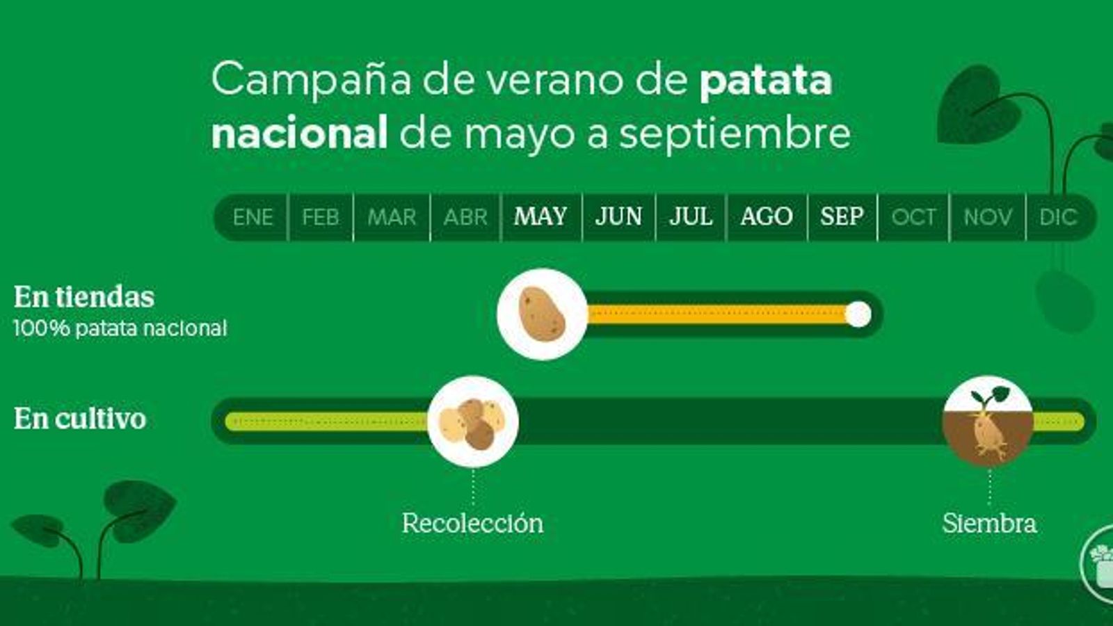 Calendario de la patata nacional de Mercadona