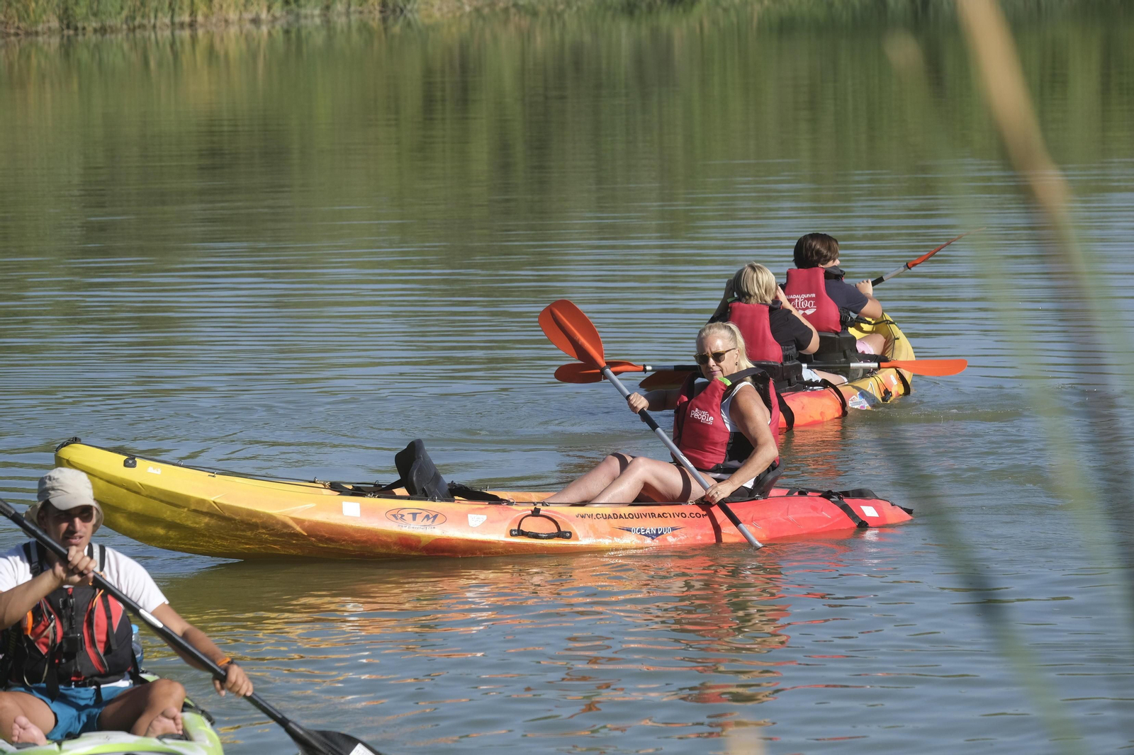 La ruta en kayak por el Guadalquivir de Córdoba se echa al agua, en imágenes