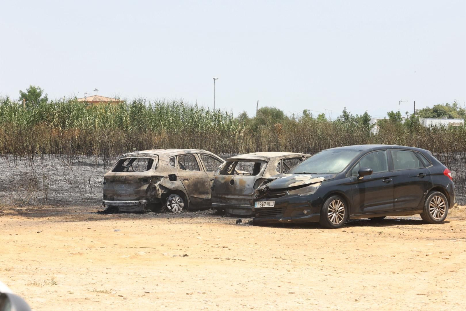 Algunos de los coches que resultaron calcinados por el incendio de Pozoalbero en Jerez.