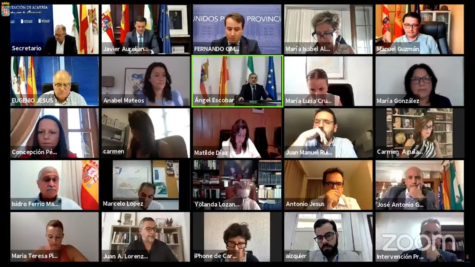 La sesión plenaria ha sido telemática.