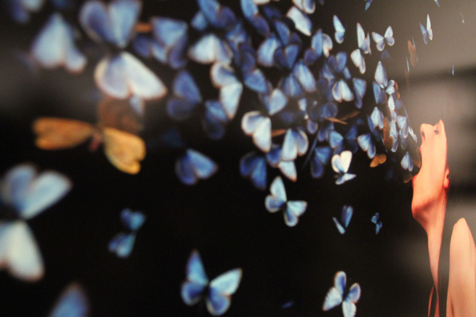 Inauguración de Latitudes 2019 en el Museo Provincial de Huelva