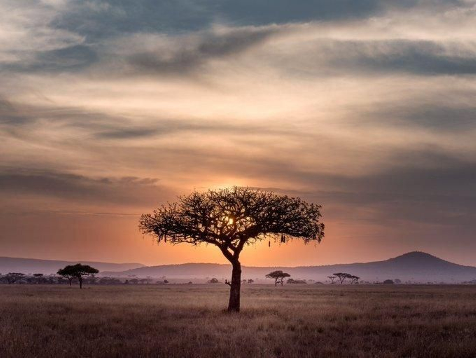La ONU celebra el Día Mundial del Medio Ambiente con el lema "Una sola Tierra" La ONU celebra el Día Mundial del Medio Ambiente con el lema "Una sola Tierra"