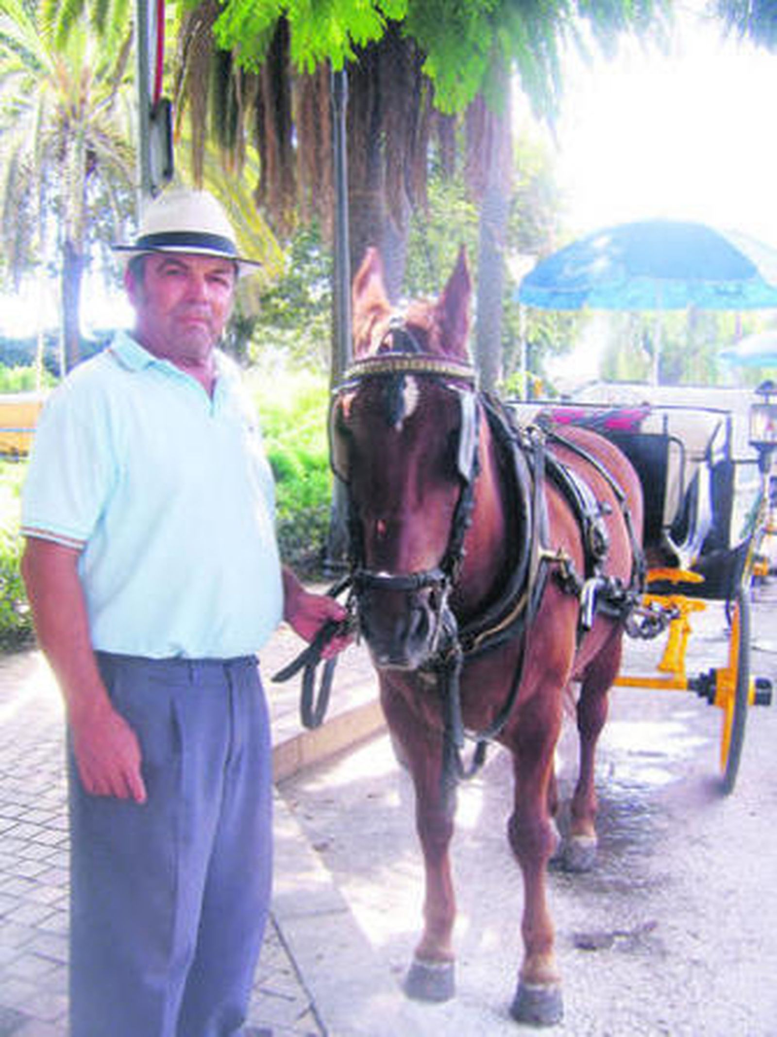"Prefiero poner a la sombra a mi caballo, aunque gane menos"