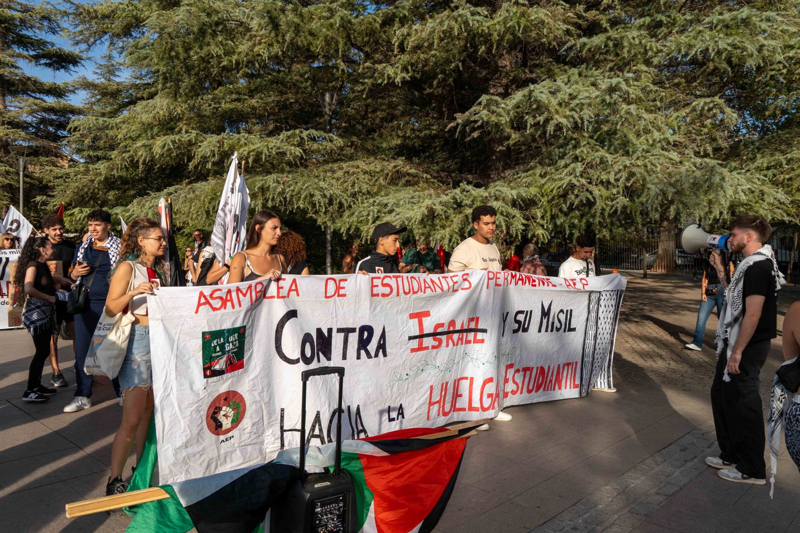 Granada vuelve a solidarizarse con Gaza y Palestina