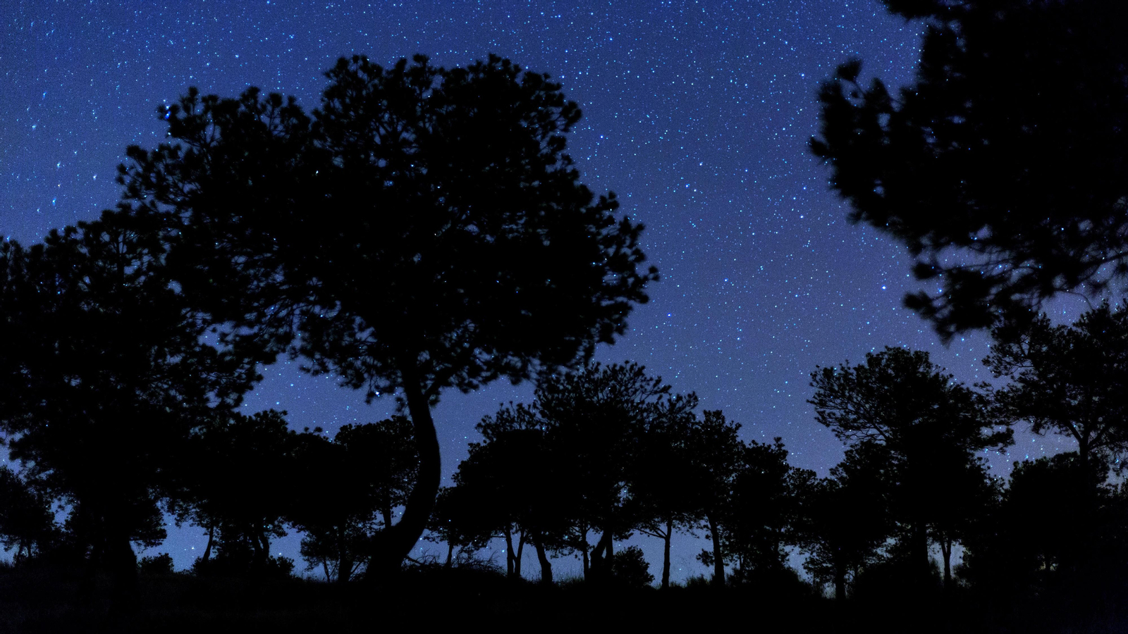 El cielo estrellado de Los Pedroches. El cielo estrellado de Los Pedroches.