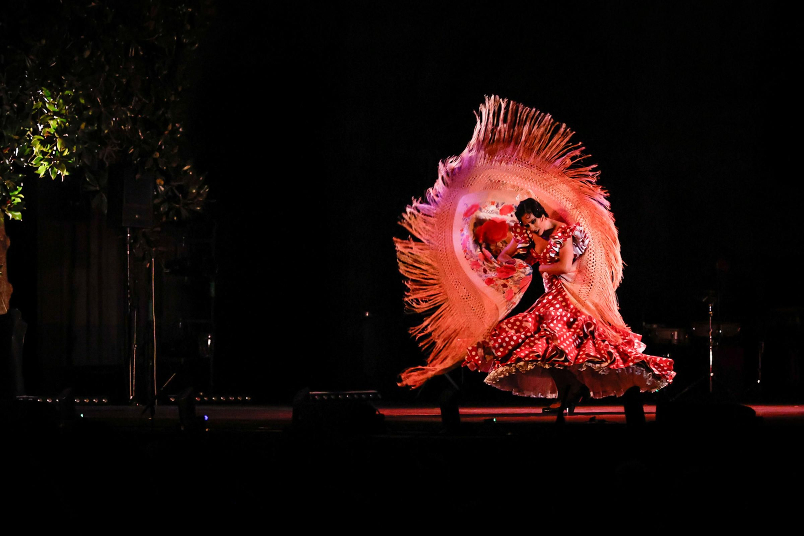 Todas las imágenes del Ballet Flamenco de Andalucía en la Bienal