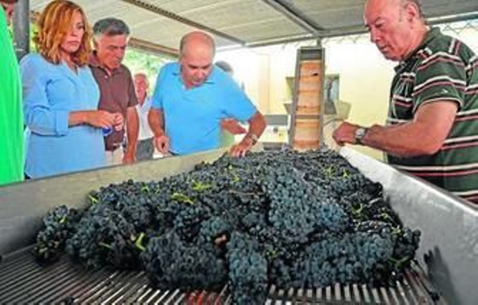 Los responsables de la Junta y el director de la Estación de Enología, ayer en las instalaciones de la calle Córdoba.