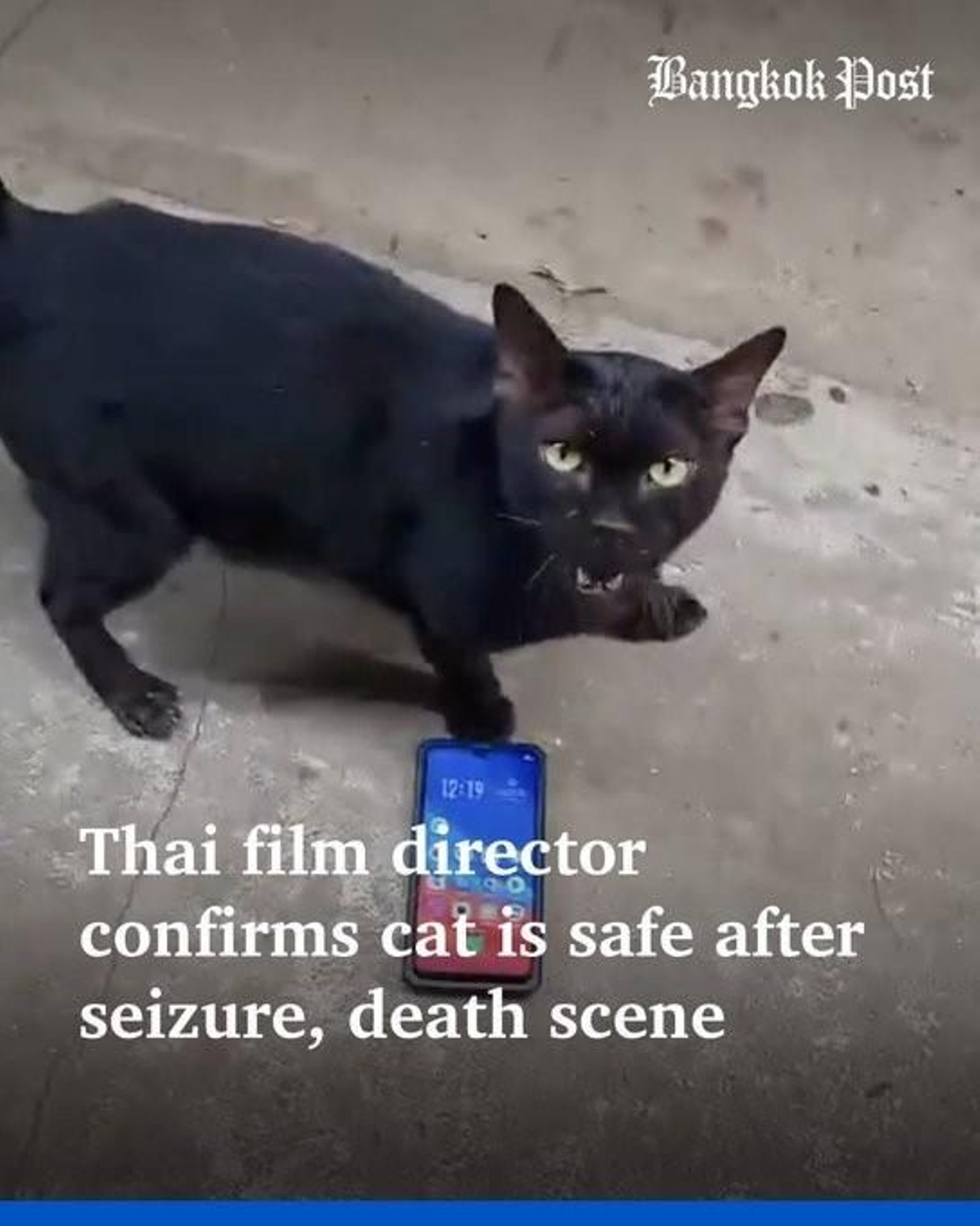 La portada del Bangkok Post con el gato de la serie de Sant Srikaewlaw,