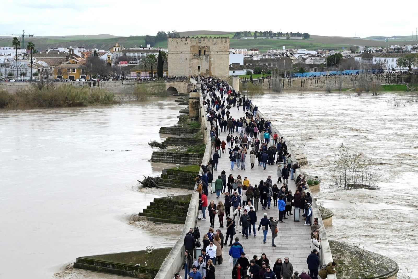 El Puente Romano de Córdoba reabre tras el temporal, en fotos