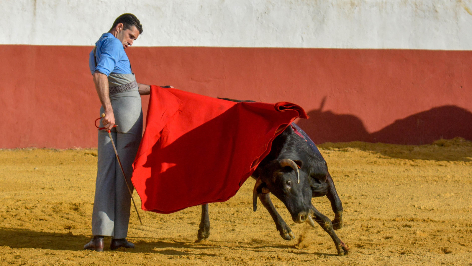 Tentadero con Talavante en la finca La Palmosilla