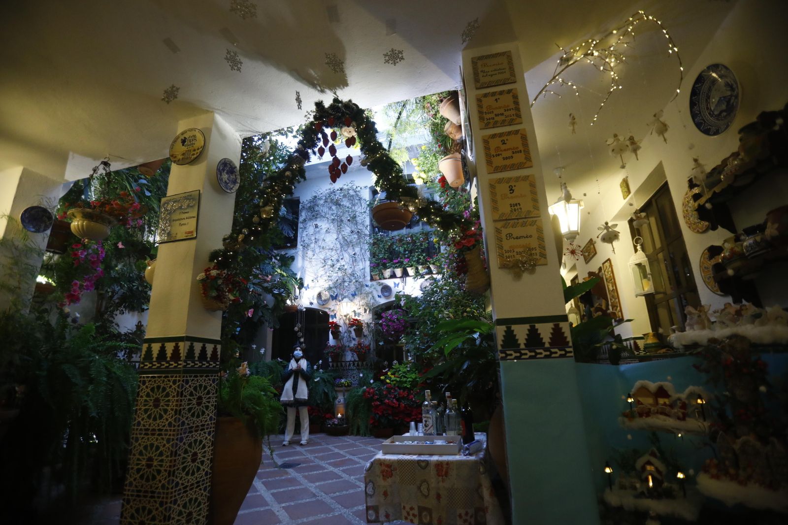 Las fotografías de los Patios de Córdoba en Navidad