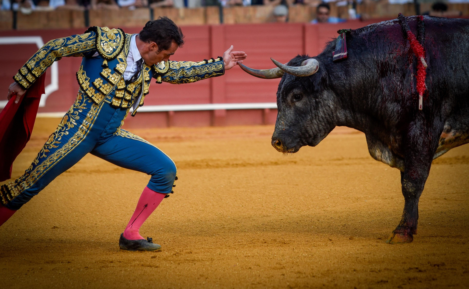 Las imágenes de la corrida de toros de El Fandi, Manuel Escribano y Esaú Fernández