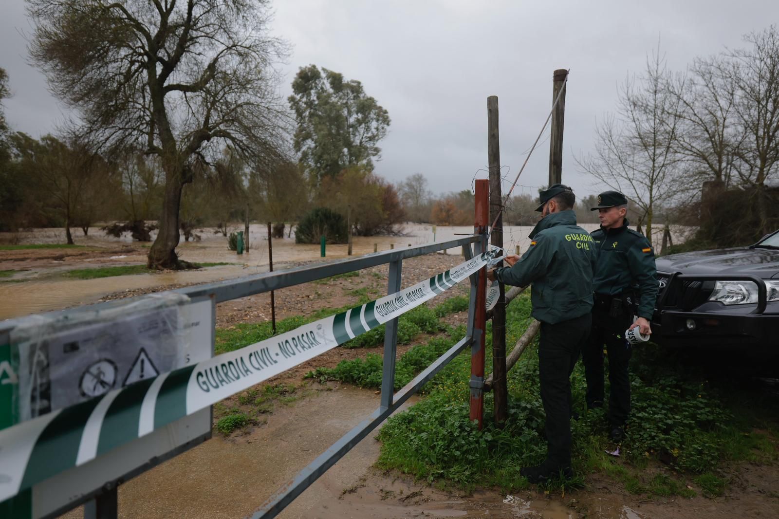 El río Guadiamar, desbordado en laguna de Las Doblas, en Sanlúcar la Mayor