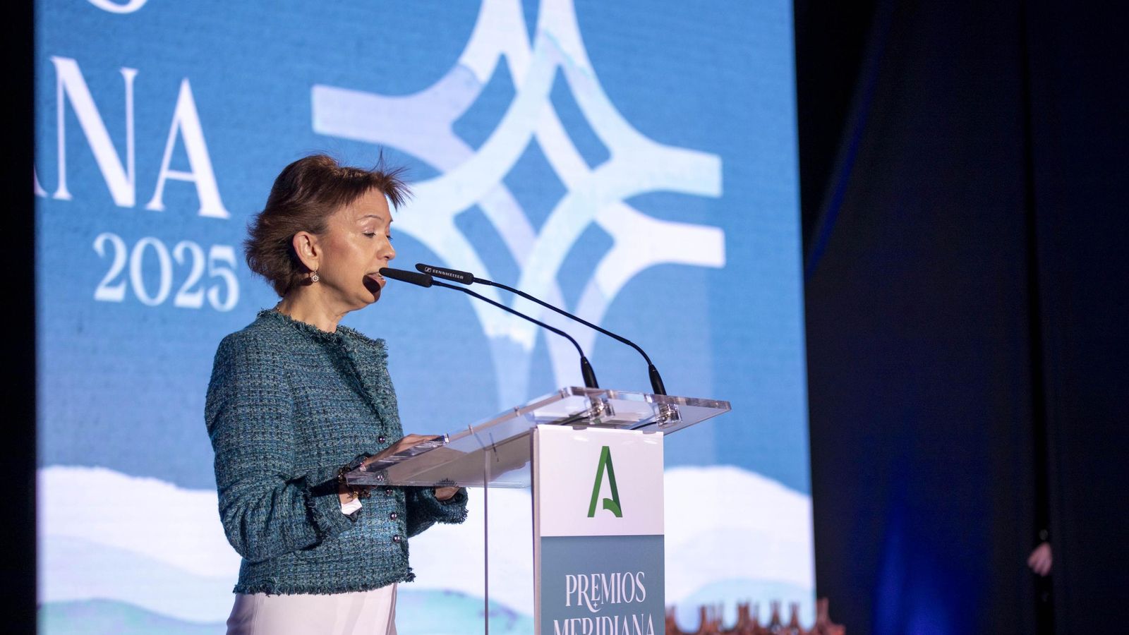 La entrega de los Premios Meridiana, en imágenes