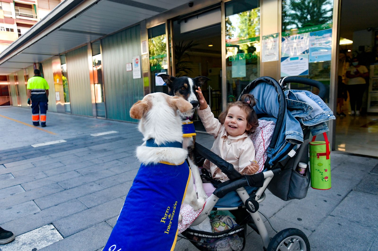 Fotos de los perros que sirven de terapia a los niños del Maternal de Granada
