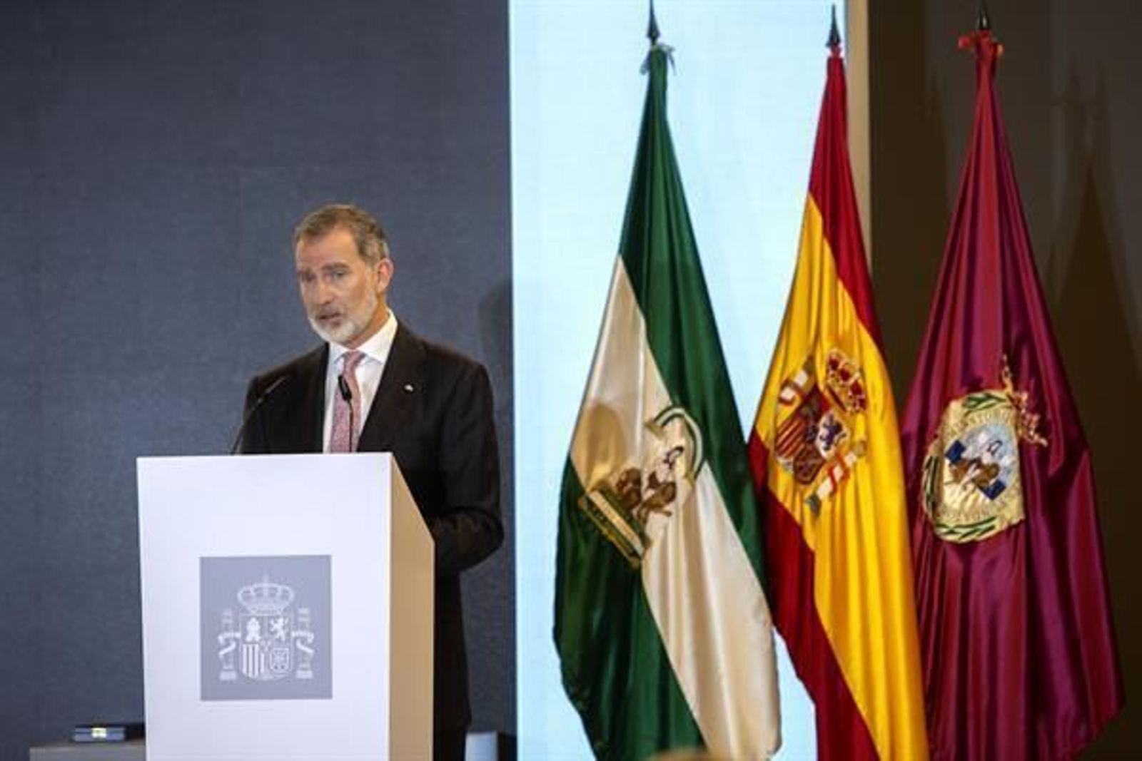 El rey Felipe VI, en el acto de entrega de las Medalla de Oro al Mérito en las Bellas Artes celebrado este miércoles en Cádiz.