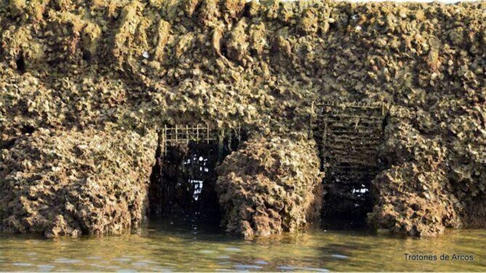 Los caños tapados con las rejillas, en los corrales de Chipiona. Los caños tapados con las rejillas, en los corrales de Chipiona.
