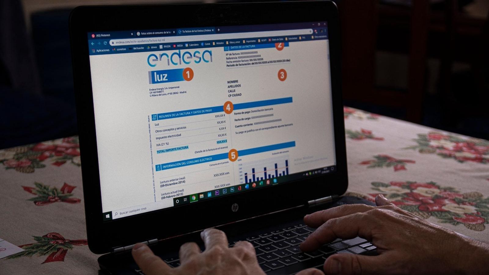 Un usuario busca información en la web de Endesa.
