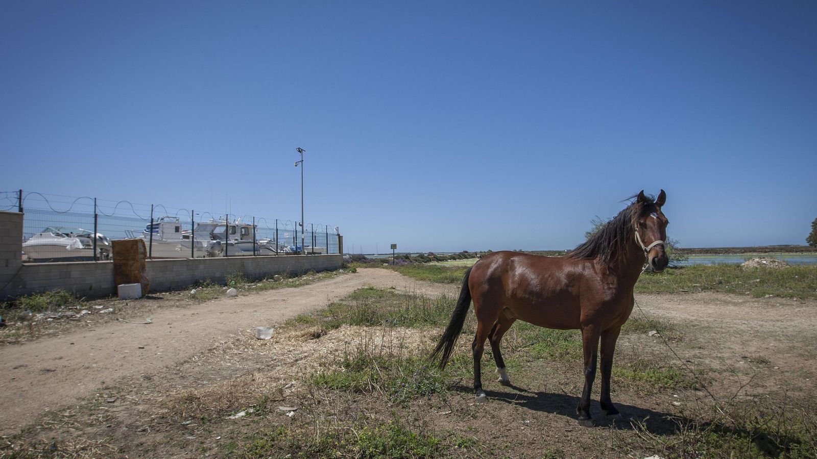 Terrenos en los que está prevista la construcción del nuevo edificio náutico de Gallineras, en una imagen de archivo.