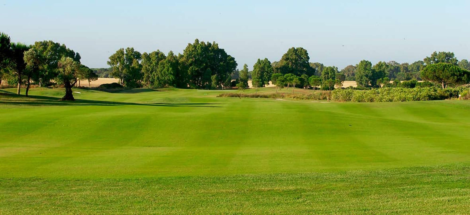 Campo de golf de La Estancia, en Chiclana.