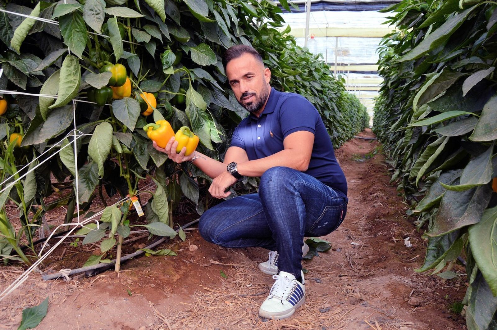 Francisco Jesús Montoya Sánchez, gerente y fundador de Campojoyma, en cultivo de pimiento bio
