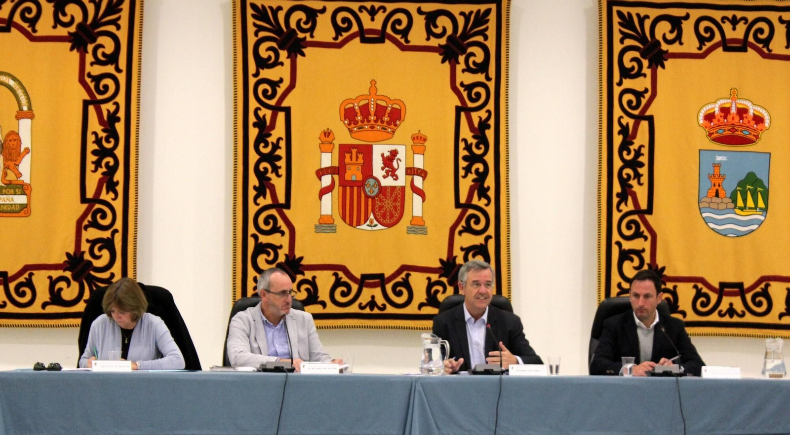 Pleno en el Ayuntamiento de Estepona.