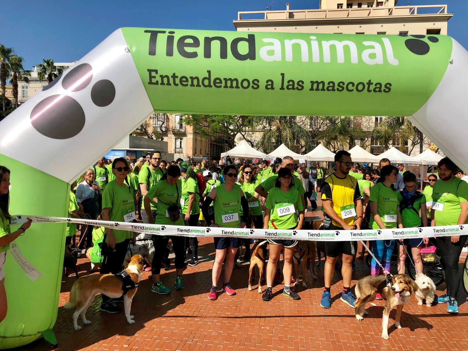 Málaga Dog Party del año pasado.