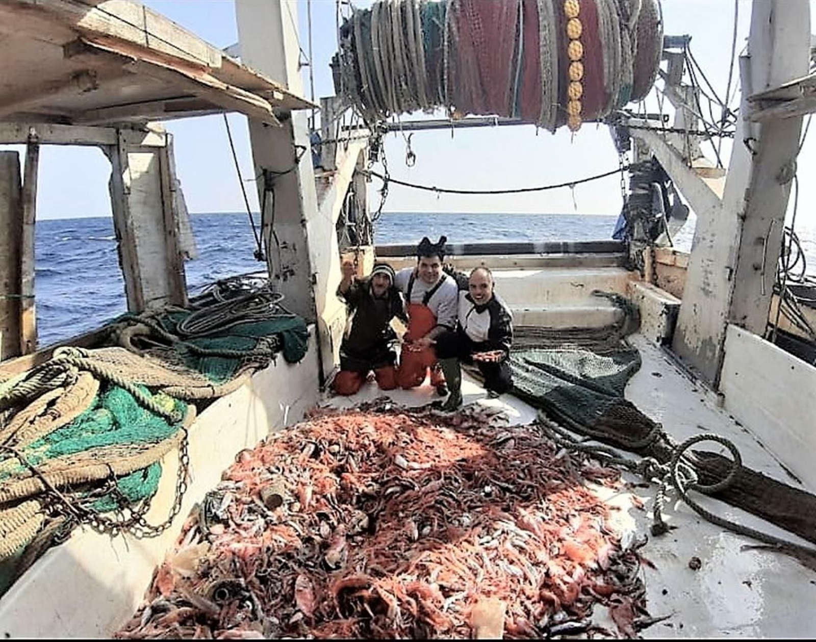 Motril exporta más de 8.600 kilos de quisquilla en el primer semestre