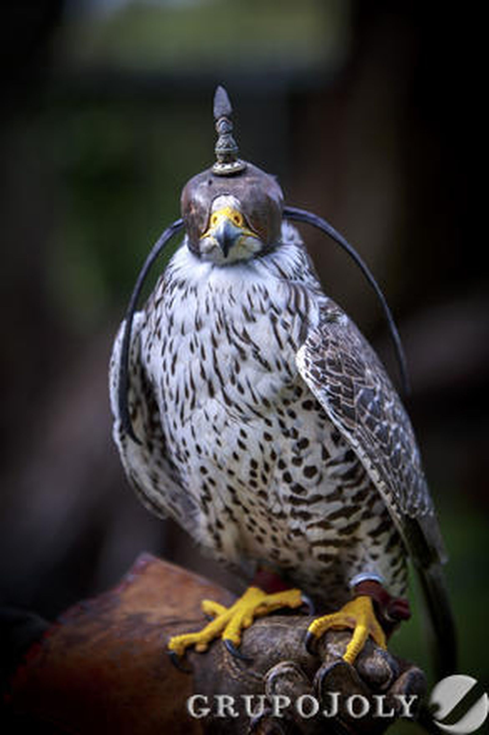 Foto: Julio Gonzalez