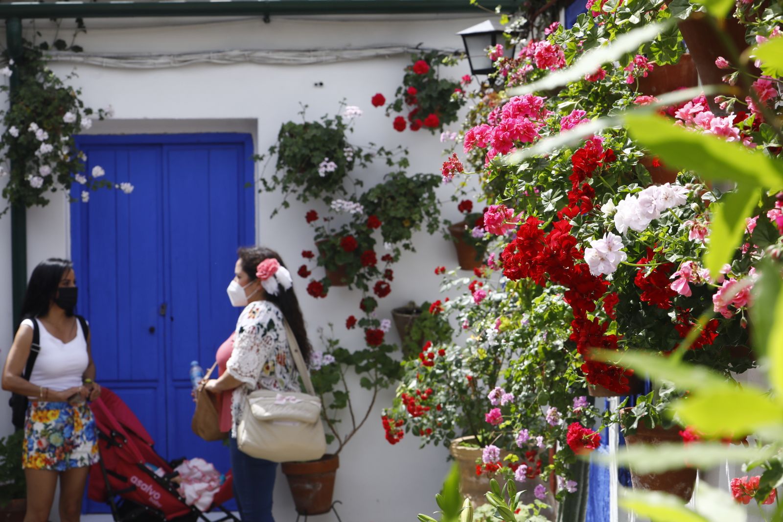 Fotografías: Sábado de colas y bulla en los Patios de Córdoba