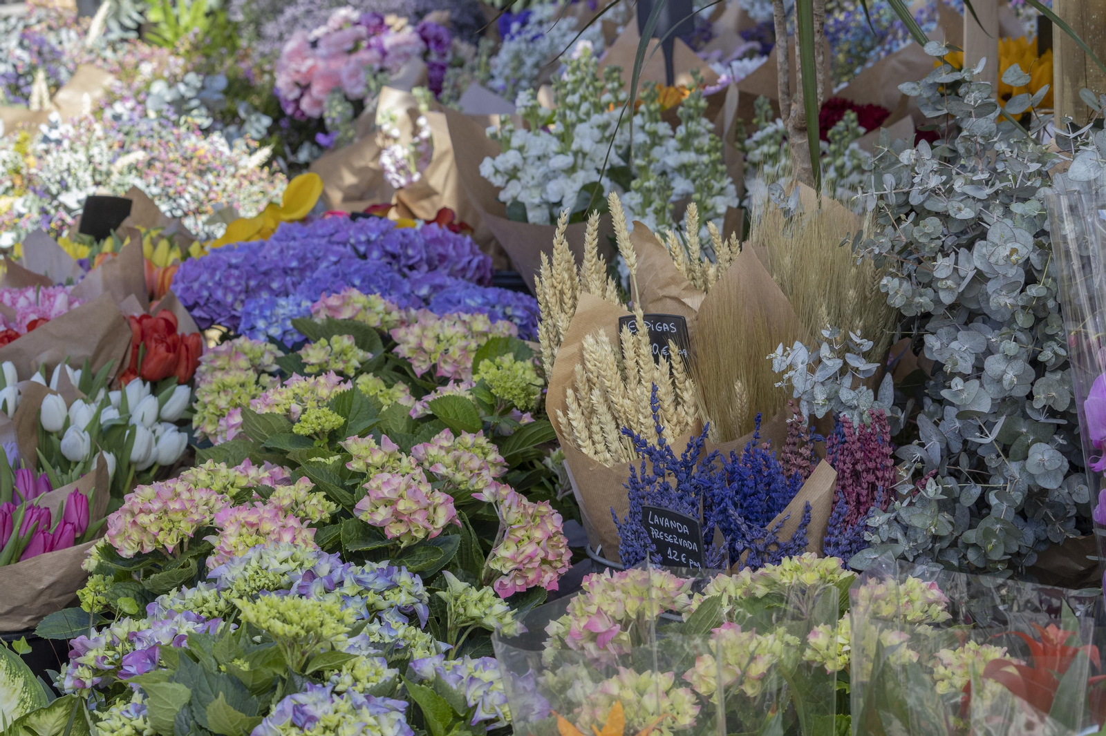 Las mejores imágenes de la Muestra de Primavera en Plaza de las Monjas, Huelva