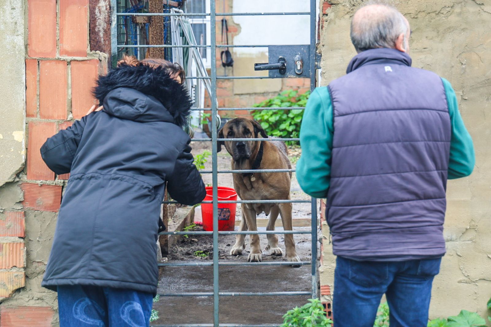Fotografías del desalojo de familias y animales en Peguerillas por la borrasca Leonardo