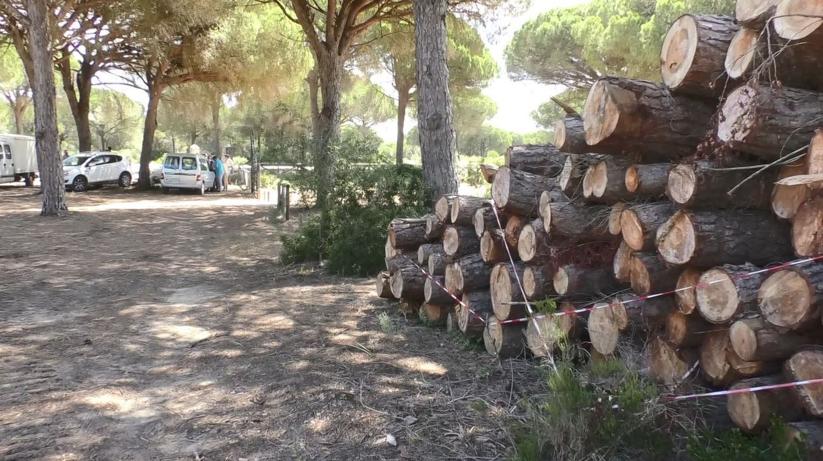 Trabajos que ejecuta la Junta de Andalucía en la Dehesa de las Yeguas