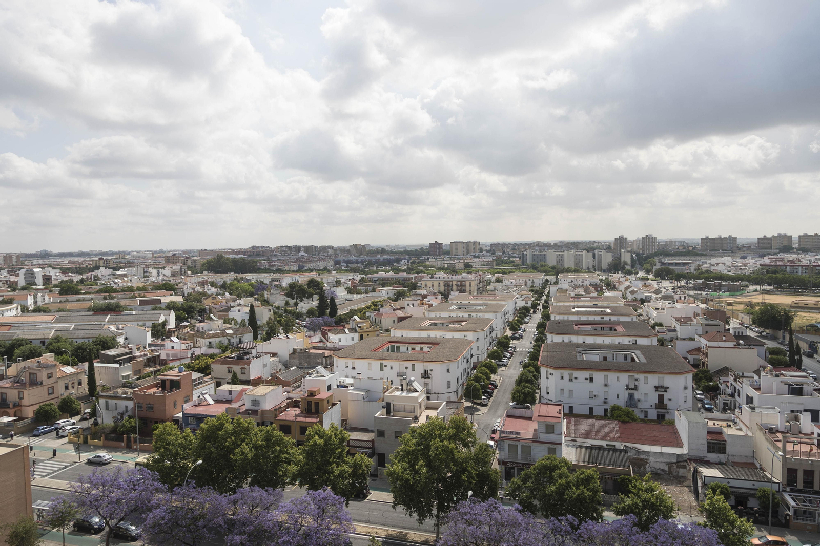 Vista de  Ciudad Jardín desde una azotea de  la Avenida Ciudad Jardín.