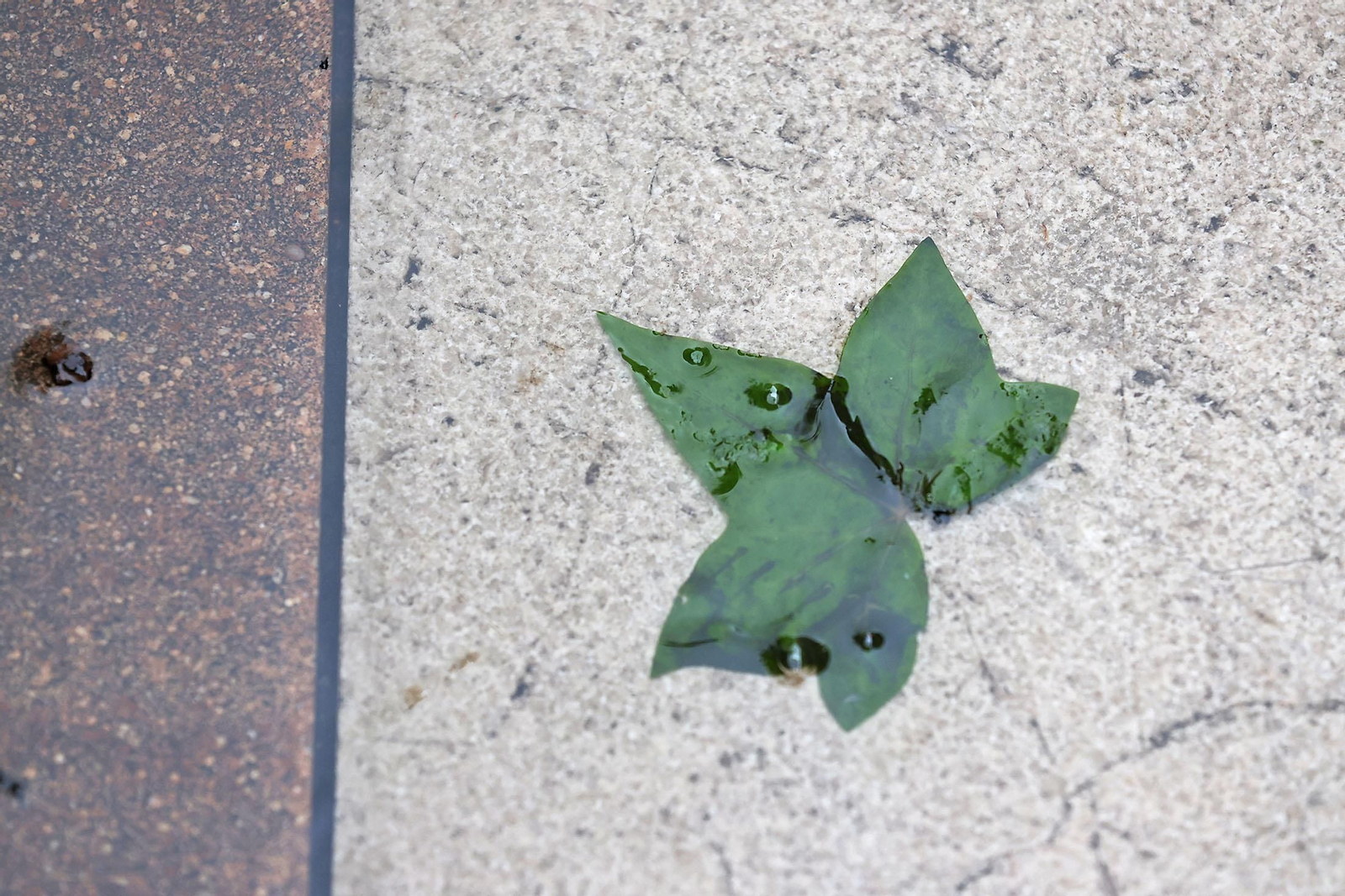 Las imágenes más destacadas del viernes 28 de febrero en Huelva