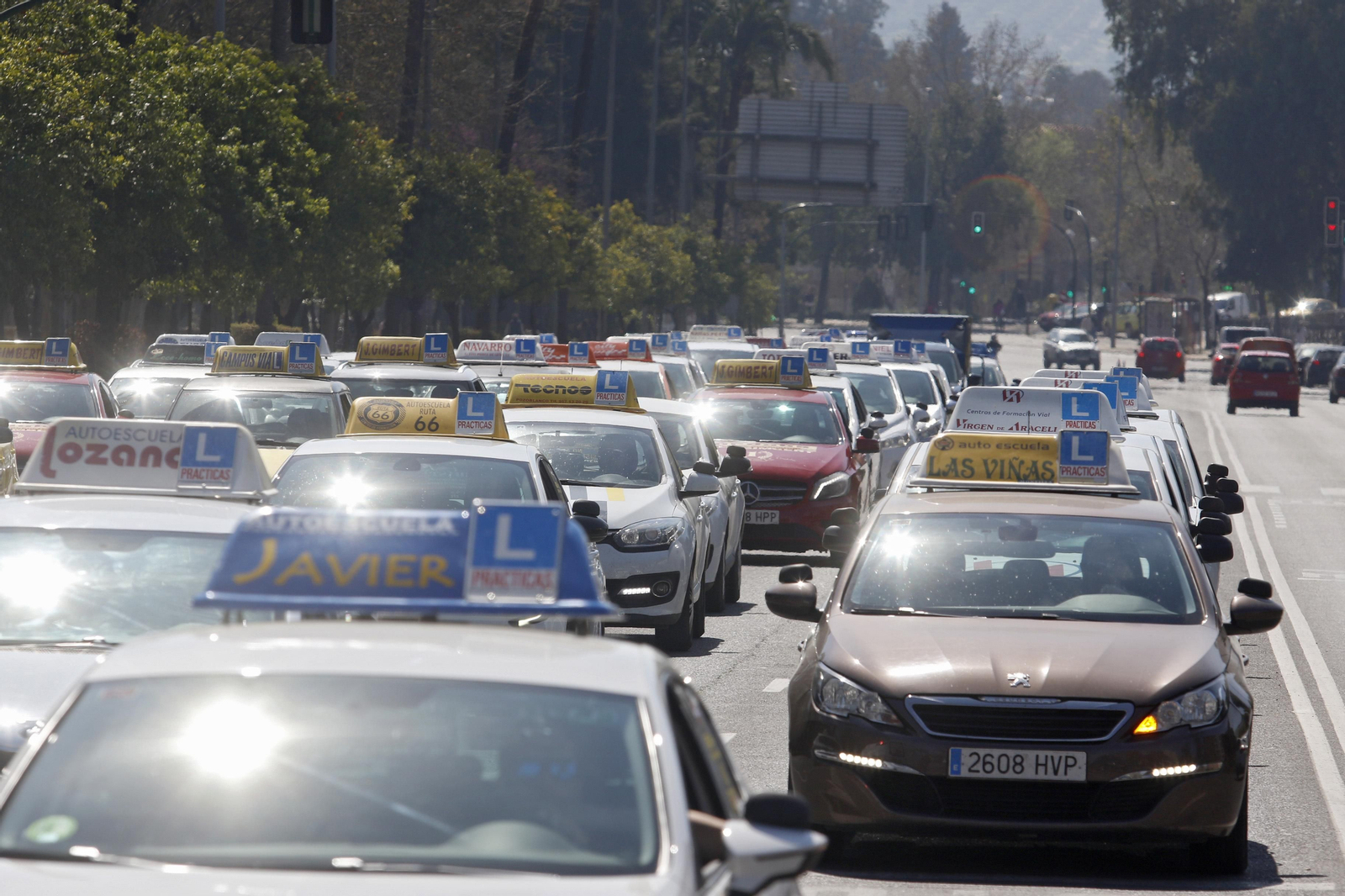 Así ha sido la protesta de las autoescuelas de Córdoba por la implantación del sistema CAPA Así ha sido la protesta de las autoescuelas de Córdoba por la implantación del sistema CAPA