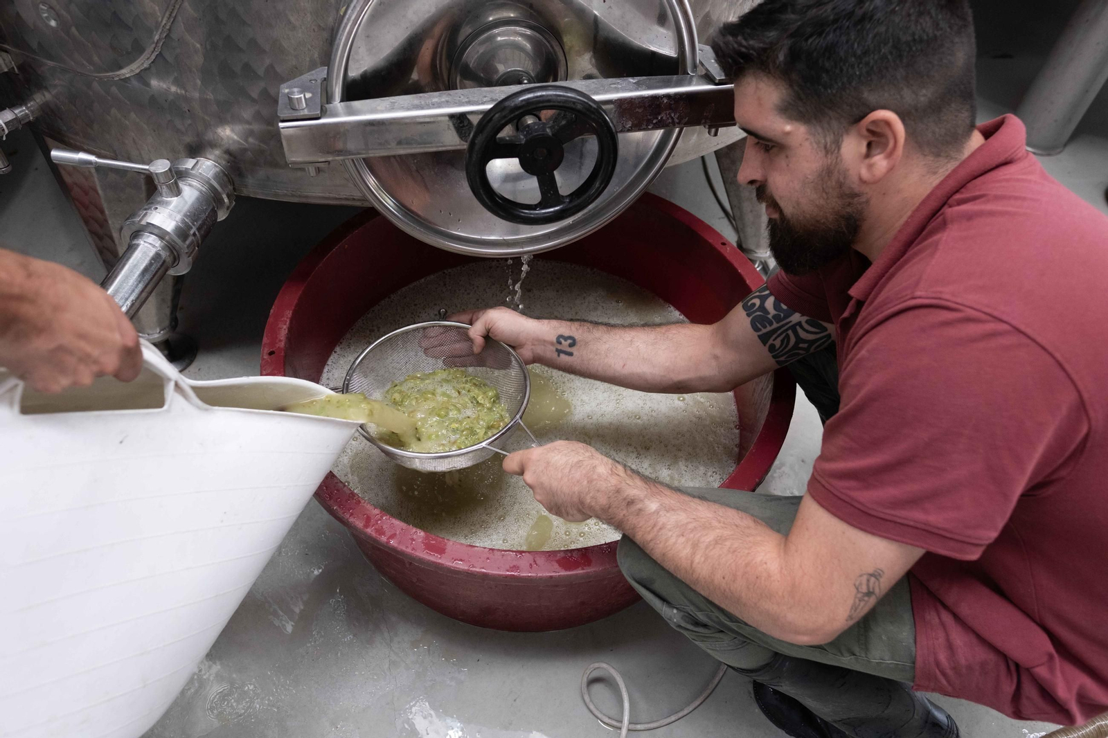 La vendimia de la Serranía, en imágenes