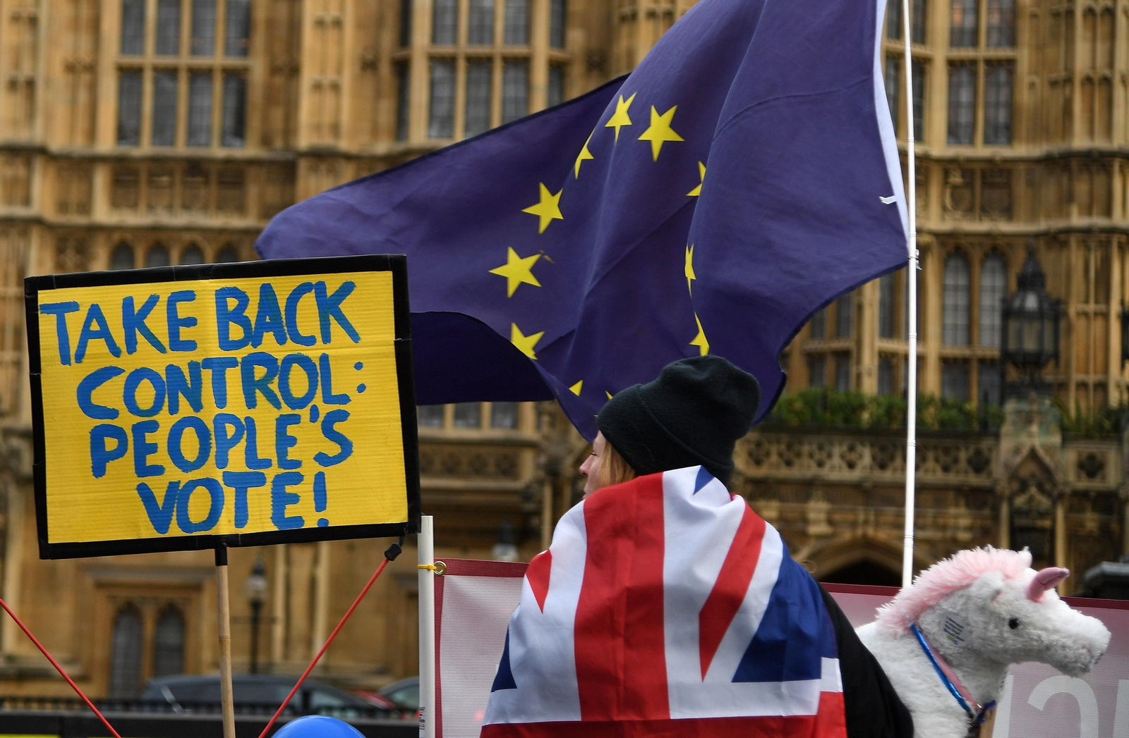 Un manifestante partido de continuar en la UE: