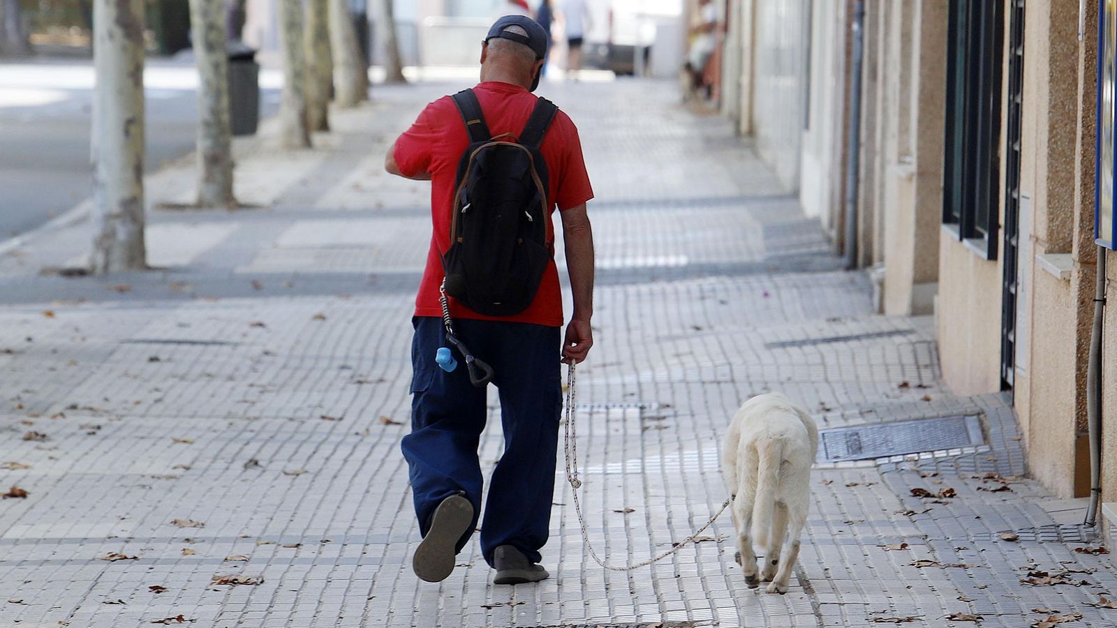 Un hombre paseando a su perro