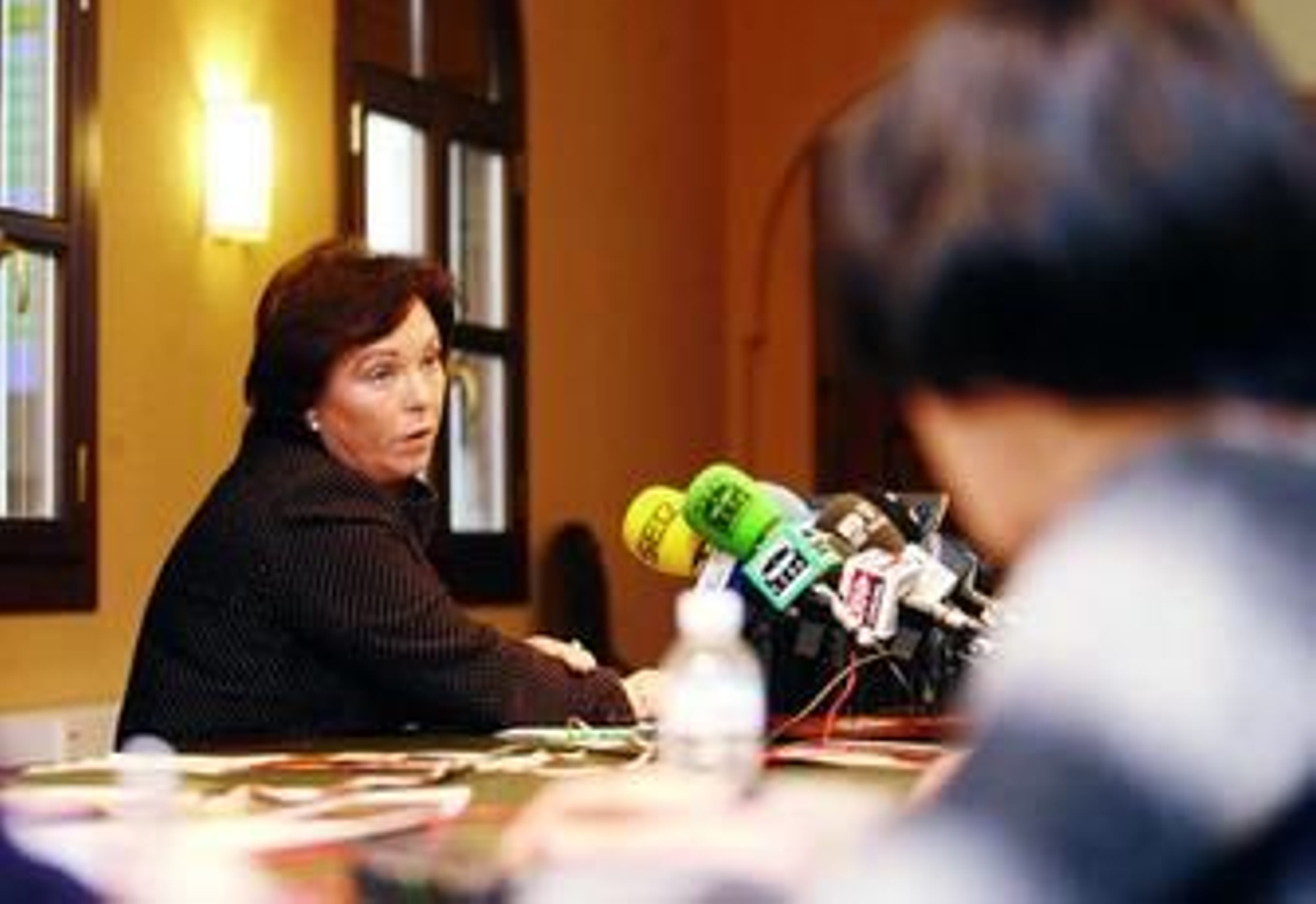 La delegada de Educación, Antonia Reyes, ayer durante la rueda de prensa.