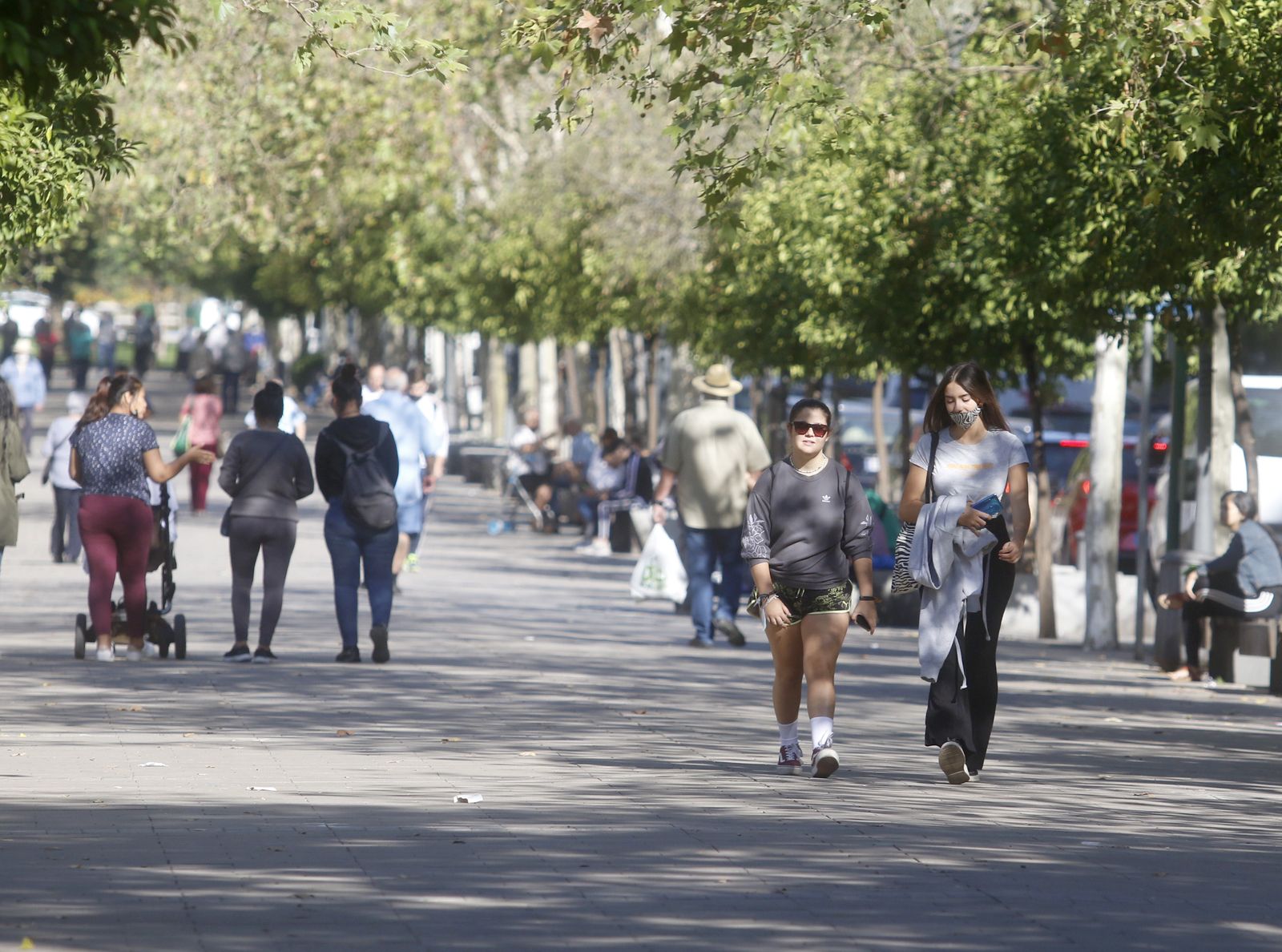 Árboles en Gran Vía Parque.