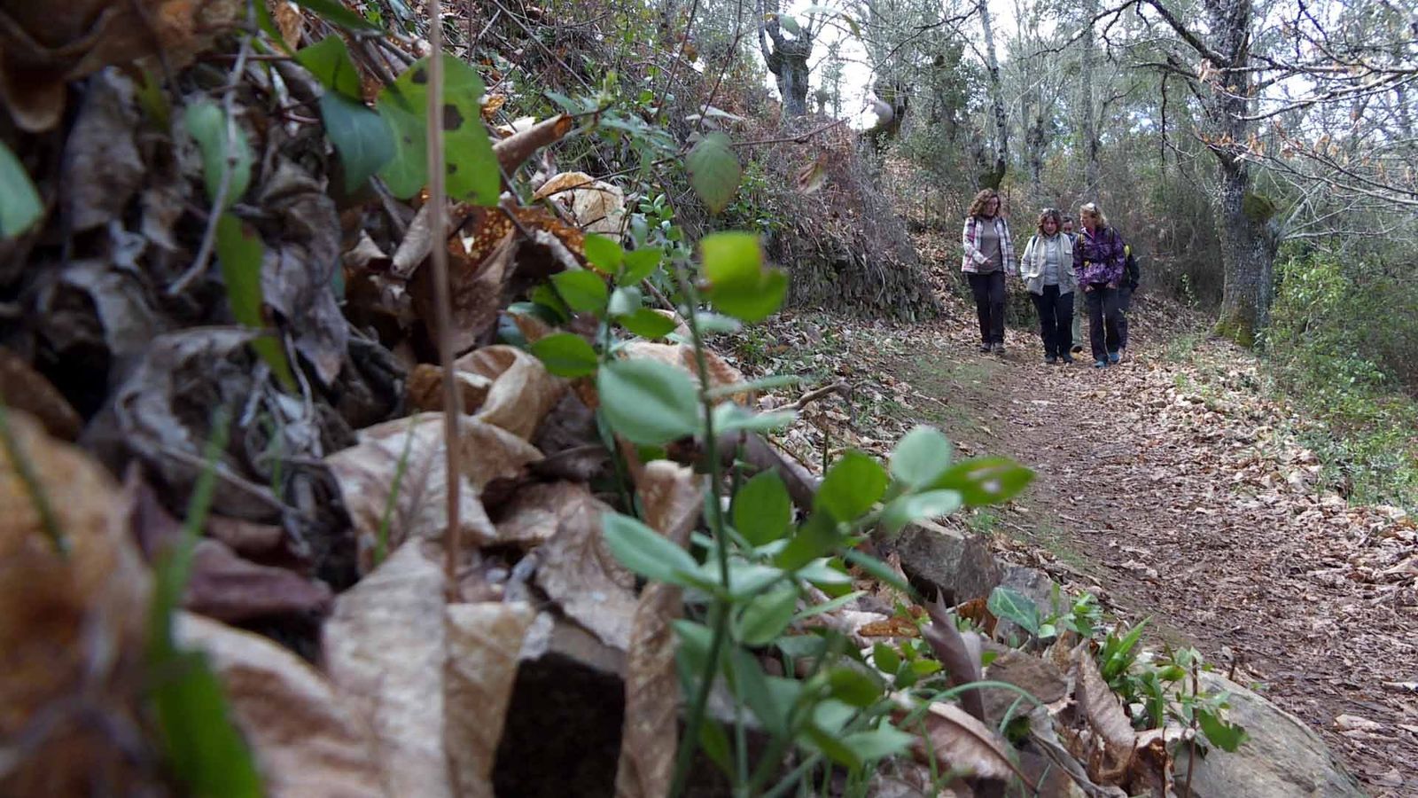 Un rincón del espacio de hoy.