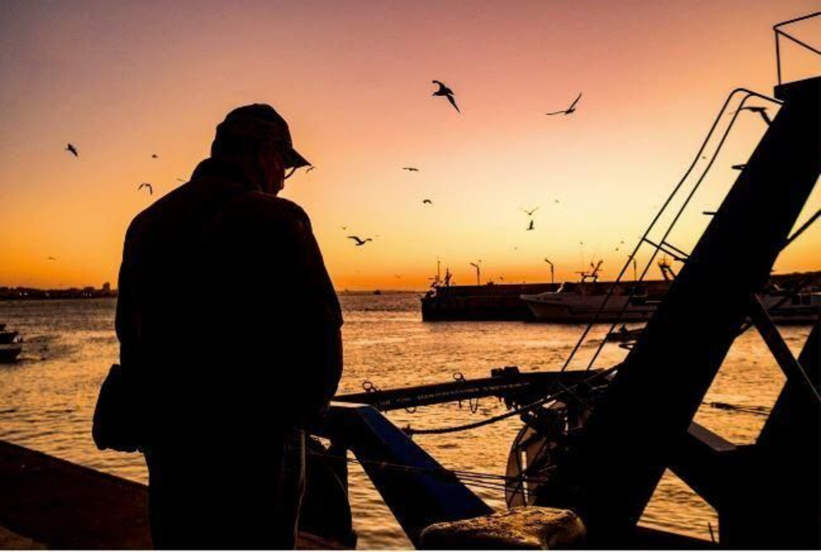 El II Festival del Pescado de Sanlúcar: Fecha, lugar, hora y precios El II Festival del Pescado de Sanlúcar: Fecha, lugar, hora y precios