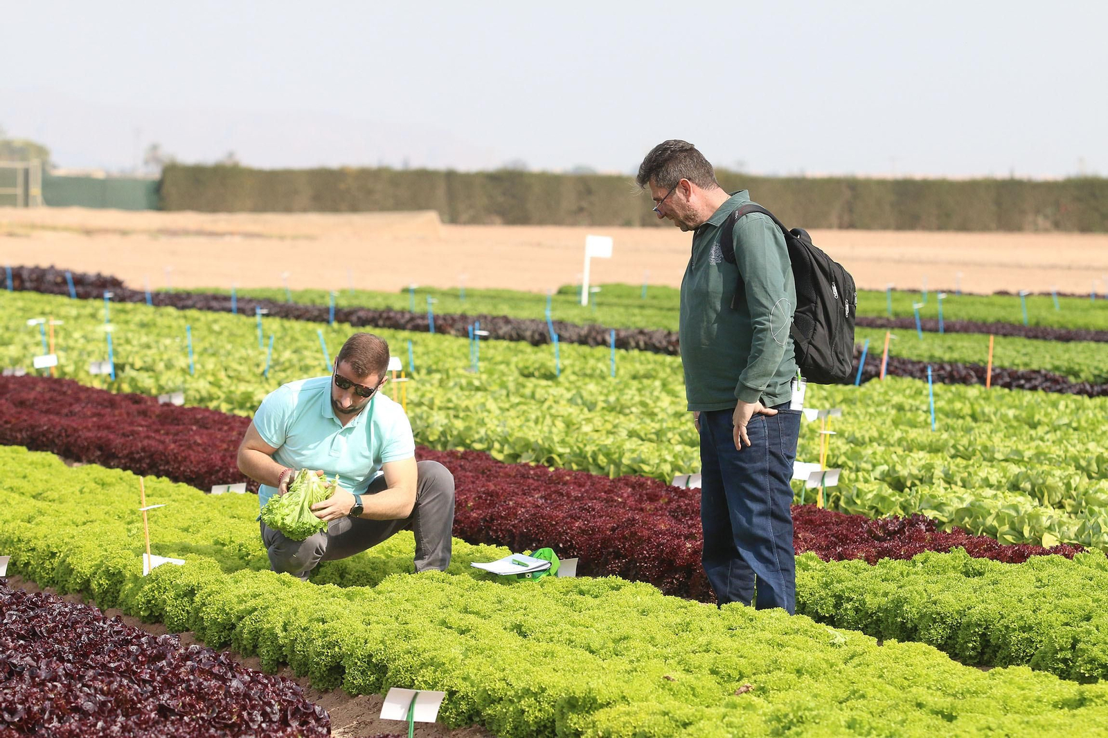 Fotogalería de las jornadas de puertas abiertas de Rijk Zwaan en Cartagena