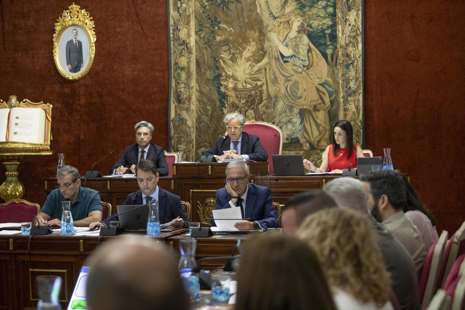 Un momento del Pleno de la Diputación de Córdoba.
