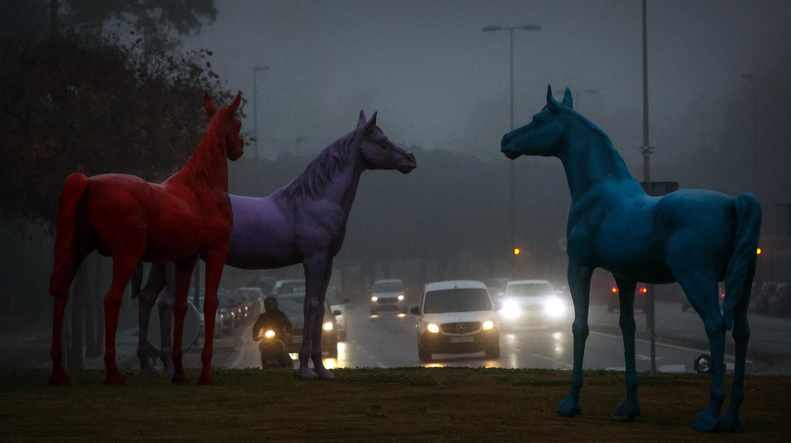 Densa niebla en Jerez