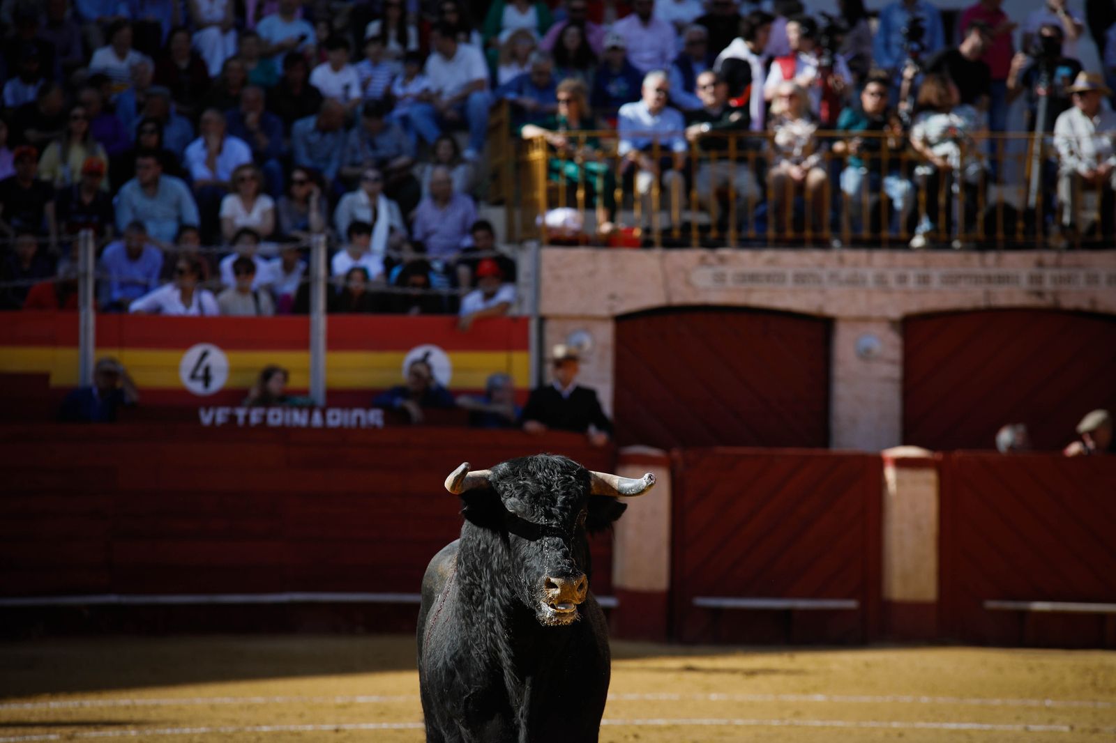 Imágenes del festival mixto lucha contra el cáncer
